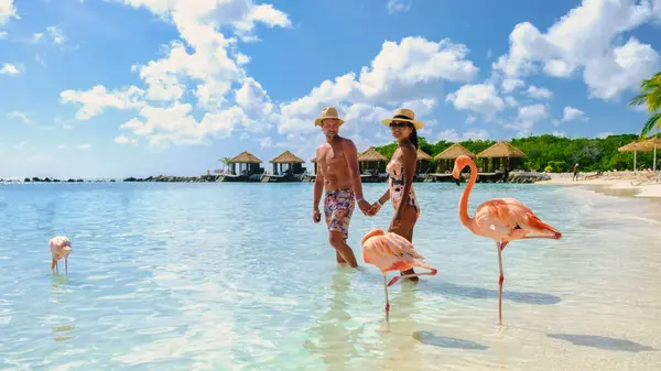 アルバビーチビーチでピンクフラミンゴ アルバ島でピンクフラミンゴとビーチで男性と女性のカップルカリブ海 — ストック写真