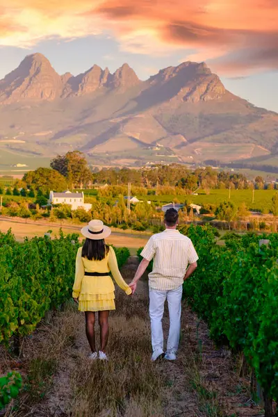 Couple of men and women at a Vineyard landscape at sunset with mountains in Stellenbosch, Cape Town, South Africa. wine grapes on the vine in the vineyard of Stellenbosch Western Cape South Africa