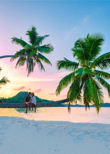 塞舌尔安塞沃尔伯的一个热带岛屿 有白色的海滩和棕榈树 一对男女坐在棕榈树上观看日落 — 图库照片