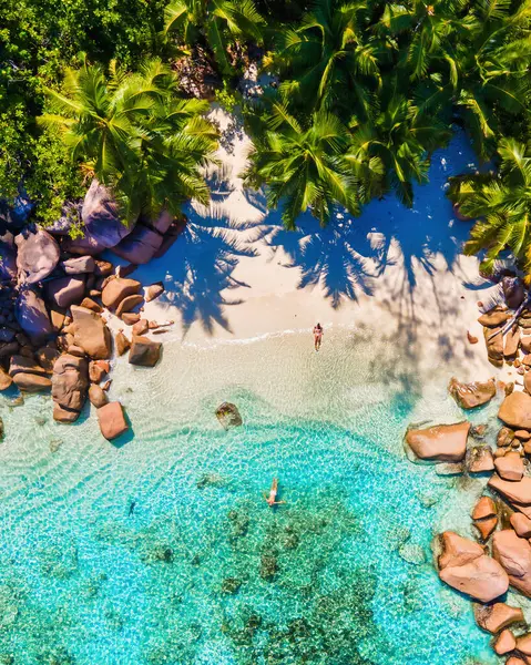 一对中年男女在塞舌尔度假 参观了塞舌尔Anse Lazio Praslin热带海滩 在塞舌尔的一个热带海湾 有棕榈树 俯瞰上方的无人机 — 图库照片