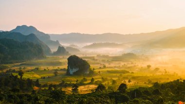 Phu Langka gün doğumunda Kuzey Tayland 'da dağlarda, Phayao bölgesindeki Phu Langka dağ parkının sabah manzarası. Güneş doğarken sis ve sisle Asya