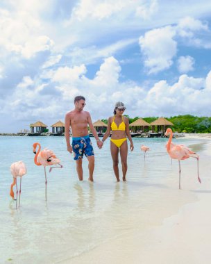 Aruba Karayip Adası, Aruba Adası Karayipleri 'nde pembe flamingoları olan bir çift kadın ve erkek..
