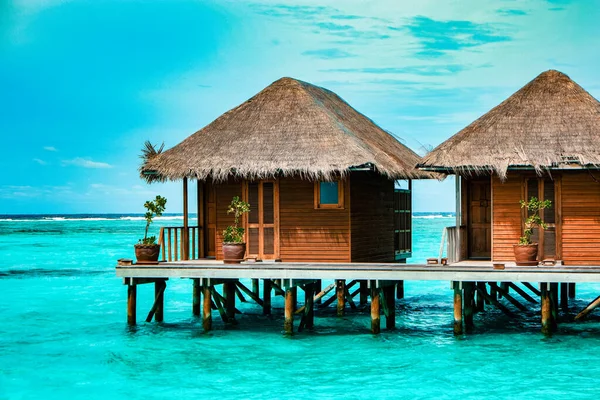 Maldives tropical Island, beautiful isolated luxury water bungalows Maldives in the blue green ocean of the Maldives Island, turqouse colored ocean