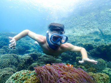 young men at a snorkeling trip in Samaesan Thailand dive underwater with fishes in the coral reef sea pool. Travel lifestyle, watersport adventure, swim activity on a summer beach holiday  clipart