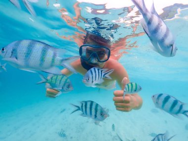Samaesan Tayland 'da şnorkelle yüzen gençler mercan resif denizinde nemo balıklarıyla suya dalıyorlar. Seyahat yaşam tarzı, su sporları macerası, yaz tatilinde yüzme etkinliği. 