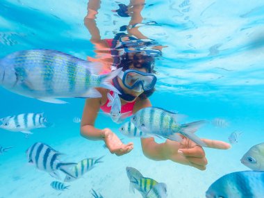 Samaesan Tayland 'da şnorkelle yüzen Asyalı bir kadın. Mercan resiflerindeki deniz havuzundaki balıklarla birlikte suyun altına dalın. Seyahat yaşam tarzı, su sporları macerası, yaz tatilinde yüzme etkinliği. 