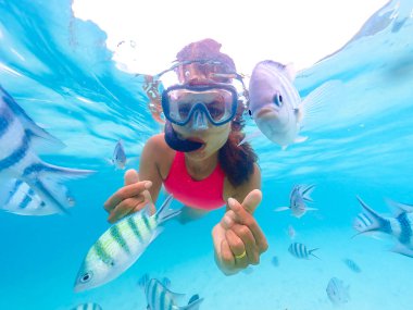 Samaesan Tayland 'da şnorkelle yüzen genç bir Asyalı kadın. Mercan resiflerindeki deniz havuzundaki balıklarla birlikte suyun altına dalın. Seyahat yaşam tarzı, su sporları macerası, yaz tatilinde yüzme etkinliği. 
