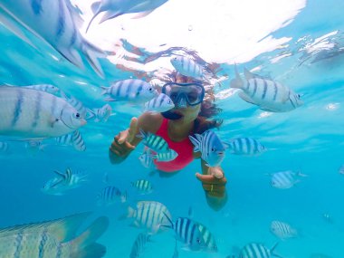 Samaesan Tayland 'da şnorkelle yüzen genç bir Asyalı kadın. Mercan resiflerindeki deniz havuzundaki balıklarla birlikte suyun altına dalın. Seyahat yaşam tarzı, su sporları macerası, yaz tatilinde yüzme etkinliği. 