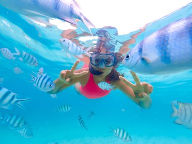 Samaesan Tayland 'da şnorkelle yüzen Asyalı bir kadın. Mercan resif havuzunda Nemo balıklarıyla birlikte su altına dalmak. Deniz sporları macerası, yaz tatilinde yüzme etkinliği. 