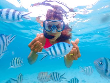 Samaesan Tayland 'da şnorkelle yüzen Asyalı bir kadın. Mercan resif havuzunda Nemo balıklarıyla birlikte su altına dalmak. Yaz tatilinde yüzme aktivitesi 