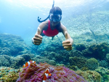 Samaesan Tayland 'da şnorkelle yüzen Asyalı bir kadın. Mercan resif havuzunda Nemo balıklarıyla birlikte su altına dalmak. Tayland 'da yaz tatilinde yüzme aktivitesi