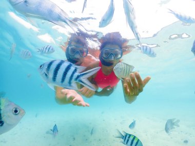 Birkaç adam ve bir kadın Samaesan Tayland 'a şnorkelle yüzmeye gittiler. Mercan resif havuzunda Nemo balıklarıyla birlikte su altına dalmak. Yaz tatilinde çift yüzme aktivitesi 