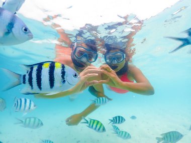 Samaesan Tayland 'a şnorkelle yüzmeye giden bir çift genç adam ve bir kadın. Mercan resif havuzunda Nemo balıklarıyla birlikte su altına dalmak. Yaz tatilinde çift yüzme aktivitesi 