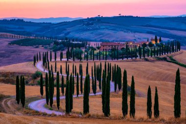 Gün batımında tepelerde buğday tarlaları ve selvi ağaçları olan Toskana manzarası. Günbatımında İtalya 'da Toscane Avrupa' da kıvrımlı bir yolu olan yaz kırsal arazisi