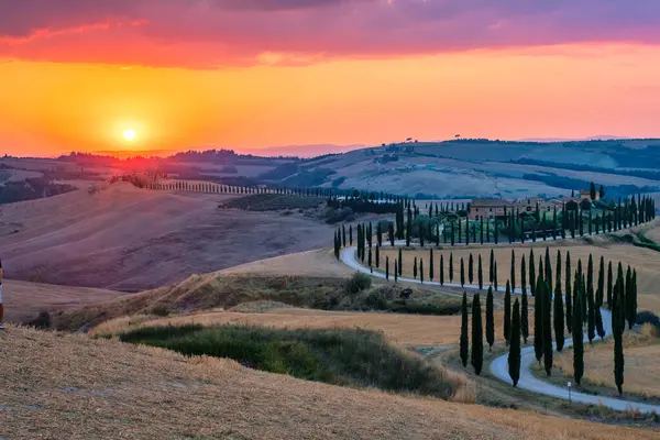 トスカーナの風景 穀物畑と日没の丘の上の木をサイプレス トスカーン イタリア ヨーロッパの曲線道路と夏の農村風景 — ストック写真