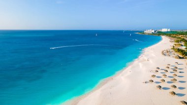 Aruba 'da Eagle Beach Aruba sahilinde Palm Trees' li Eagle Beach, güneşli bir günde kumsalda insansız hava aracı görüntüsü.