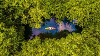 Krabi Tayland ormanında kayak yapan bir çift Krabi mangrov ormanındaki tropikal bir ormanda kano süren erkekler ve kadınlar. İHA ile yağmur ormanlarındaki kano manzarası