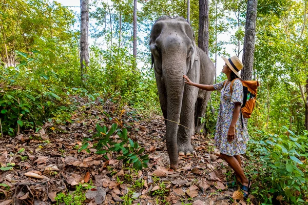 Azjatka Odwiedzająca Sanktuarium Słoni Chiang Mai Tajlandia Dziewczyna Słoniem Dżungli — Zdjęcie stockowe