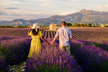 Valensole Provence Fransa, Lavanta renkli bir alan Provence Güney Fransa 'da. Provence Güney Fransa' da tatil yapan birkaç erkek ve kadın lavanta tarlasında yürüyorlar.