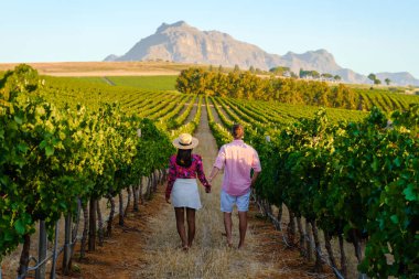 Stellenbosch Cape Town Güney Afrika 'da günbatımında dağlarla birlikte üzüm bağı manzarası. Üzüm bağında şarap üzümleri, Stellenbosch 'ta bir üzüm bağında yürüyen bir çift.