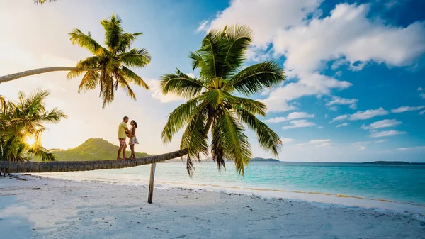 Para Mężczyzn Kobieta Siedząca Palmie Plaży Anse Volbert Praslin Seszele — Zdjęcie stockowe