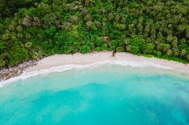 Freedom Beach phuket, Phuket Tayland 'da palmiye ağaçları olan beyaz bir plajdır. Güneşli bir günde Özgürlük Kumsalı Phuket, gizli bir tropikal plaj.