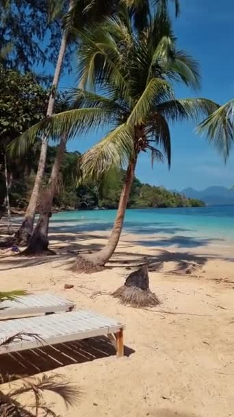 Palmbomen Het Strand Van Koh Wai Island Trat Thailand Een — Stockvideo