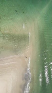 Koh Muk 'un en üst manzarası palmiye ağaçları ve yumuşak beyaz kumla kaplı tropikal bir ada ve Trang Tayland' daki Andaman Denizi 'ndeki Koh Mook tropikal adasında turkuaz renkli bir okyanus.