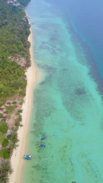 Koh Ngai의 야자수와 부드러운 모래와 Koh Ngai Krabi 태국의 터키색 — 비디오