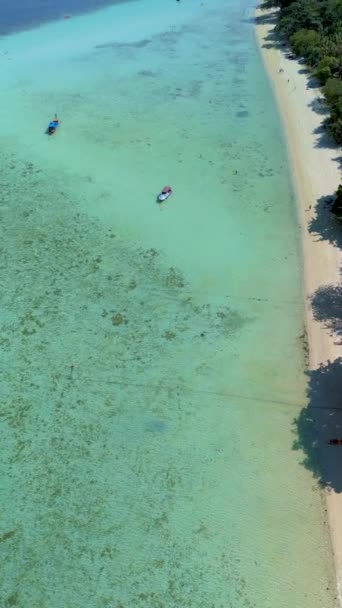 Drone Vista Aérea Koh Kradan Uma Ilha Tropical Com Palmeiras — Vídeo de Stock