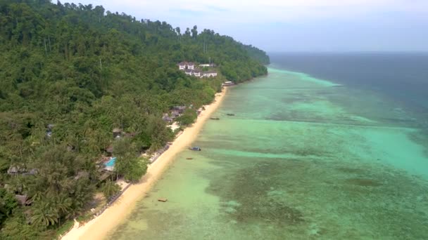 Drone Vista Aerea Koh Ngai Isola Tropicale Con Palme Morbida — Video Stock