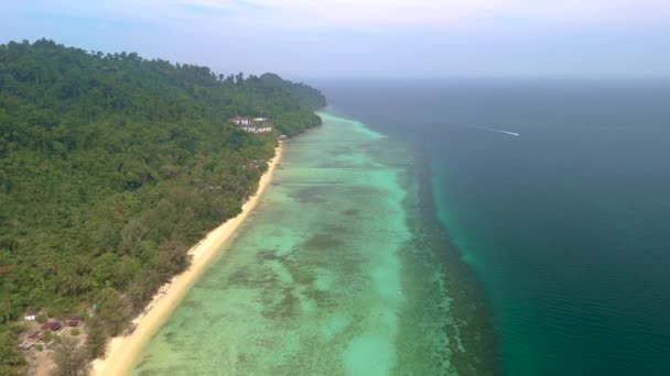 Drone Antenowy Widok Koh Ngai Tropikalna Wyspa Palmami Miękkim Białym — Wideo stockowe