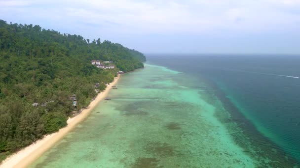 Drone Vue Aérienne Île Koh Ngai Avec Des Palmiers Sable — Video