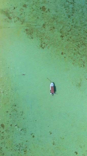 Drone Vista Aérea Koh Kradan Una Isla Tropical Con Palmeras — Vídeos de Stock