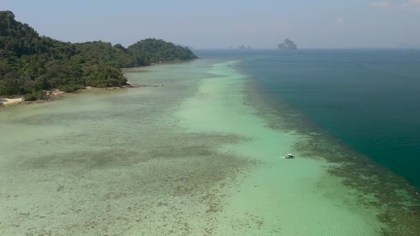 Drone Aerial View Koh Kradan Tropical Island Palm Trees Soft — Stock Video