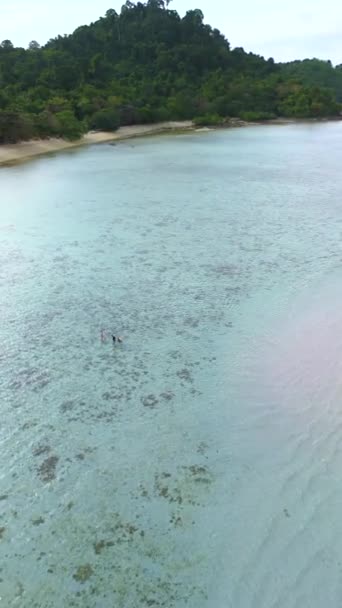 Drone Légi Kilátás Koh Kradan Trópusi Sziget Koh Kradan Trang — Stock videók