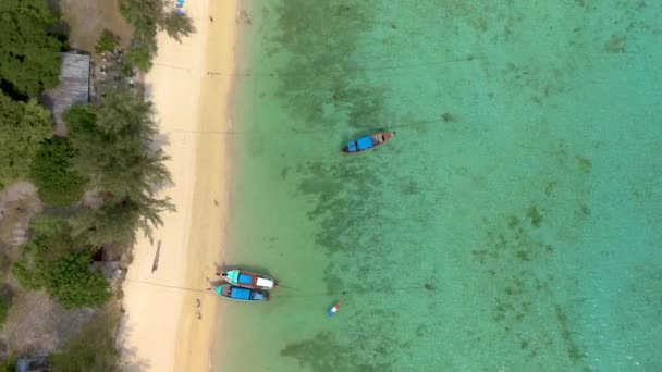 Longtail Boats Beach Koh Ngai Tropical Island Palm Trees Soft — Stock Video
