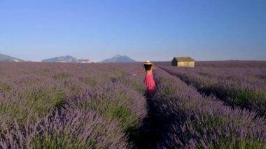 Günbatımında Provence Lavanta tarlası Valensole Plateau Provence Fransa Avrupa 'da lavanta tarlaları açan kırmızı elbiseli Asyalı kadın gün batımında çiçek tarlasında yürüyor.