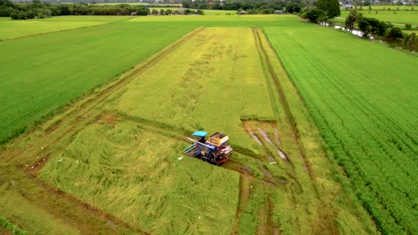 치앙마이 지역의 필드와 농장에서 기계를 태국의 필드의 항공기 — 비디오