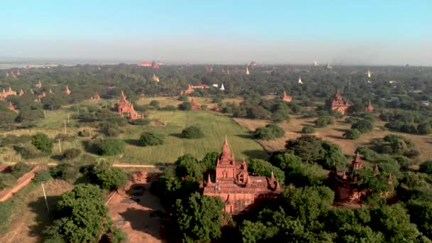 バガン ミャンマー 古いバガンの歴史的なユネスコの遺跡で寺院や古い塔でドローン エアリアル ビューの日の出 日光を眺める寺院の上に夫婦と女性 — ストック動画