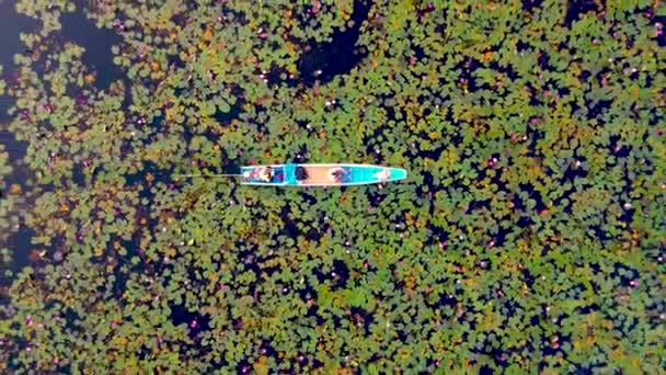 赤い蓮の海 ノン湖 ウドンタニ湖 イサリアの赤いロータス湖の日の出にボートで男女のカップル — ストック動画