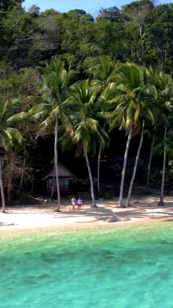 Impresionante Paisaje Natural Con Una Playa Tropical Bordeada Palmeras Aguas — Vídeo de stock