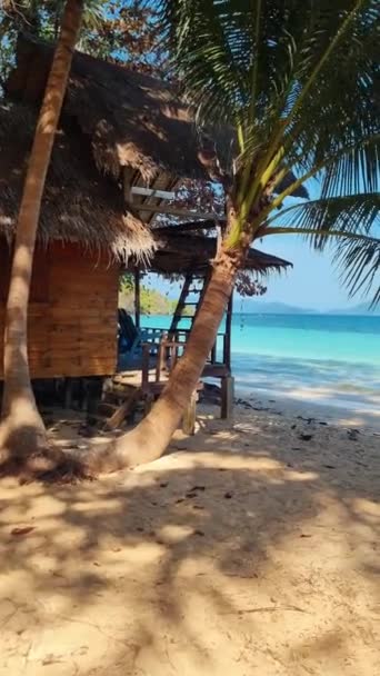 Будинок Дерева Стоїть Пляжі Поруч Високим Деревом Оклалей Створюючи Мальовничу — стокове відео