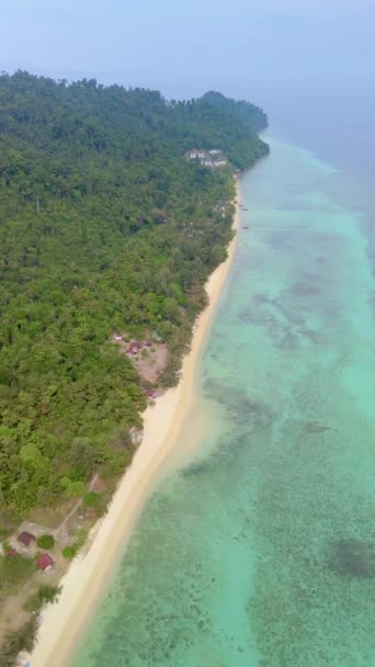 Drone Légi Kilátás Koh Ngai Egy Trópusi Sziget Pálmafákkal Puha — Stock videók