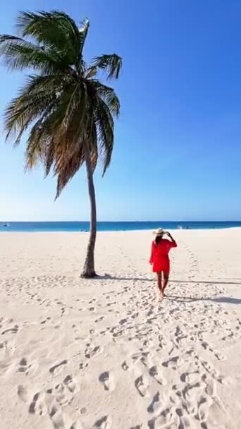 Canlı Kırmızı Elbiseli Bir Kadın Kumlu Sahilde Yürüyor Palmiye Ağaçları — Stok video
