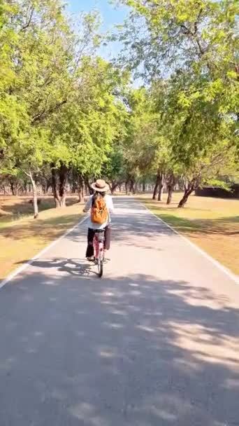 Kobieta Jest Rowerze Jadąc Asfaltową Ścieżką Parku Mijając Drzewa Trawę — Wideo stockowe