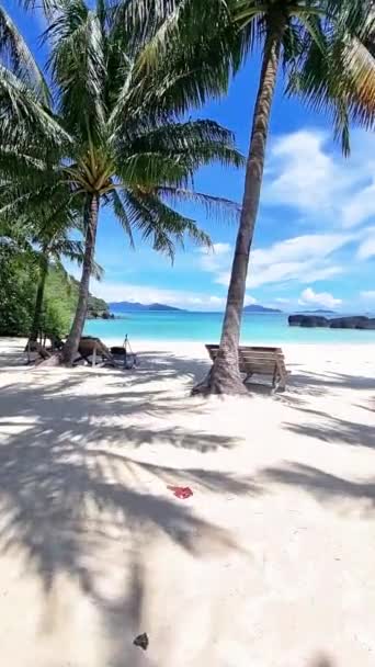 Una Scena Tranquilla Una Spiaggia Sabbiosa Fiancheggiata Palme Affacciata Limpido — Video Stock