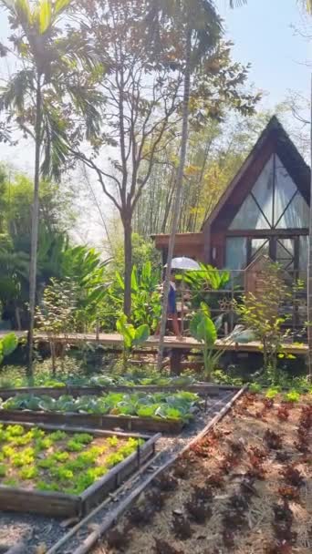Lummig Trädgård Fylld Med Olika Växter Med Ett Charmigt Hus — Stockvideo