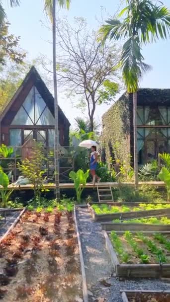一个男人站在一座房子前面的花园里 房子周围有植物和树木 城市设计的特点是窗户 沥青路面和头顶晴朗的天空 — 图库视频影像