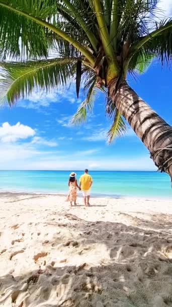 Muž Žena Stojí Slunné Pláži Pod Vysokou Palmou Obklopeni Azurovou — Stock video